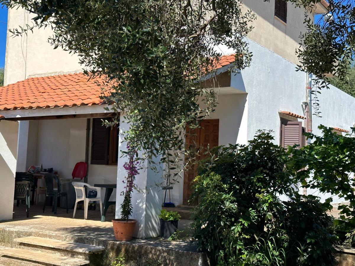 Casa Vacanza Maria Antonieta Marina di Camerota Exterior foto